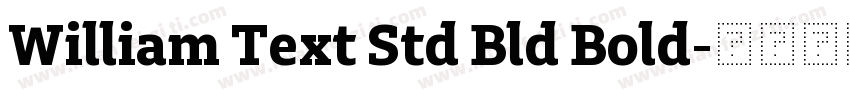 William Text Std Bld Bold字体转换